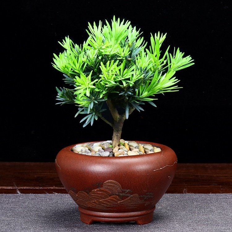 Small Desktop Succulent Purple Clay Flowerpot